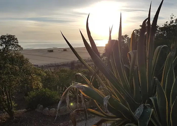 Da Rocha Confort Apartment *