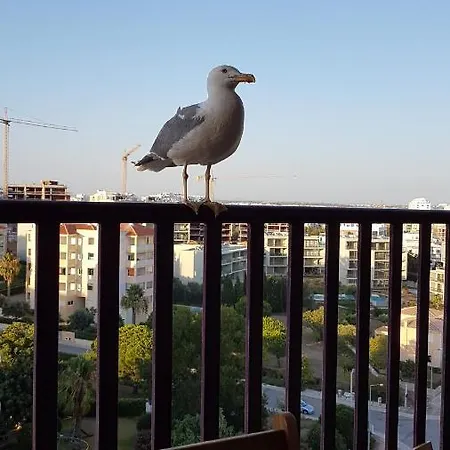 Apartman Da Rocha Confort *