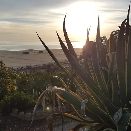 Da Rocha Confort Apartament *